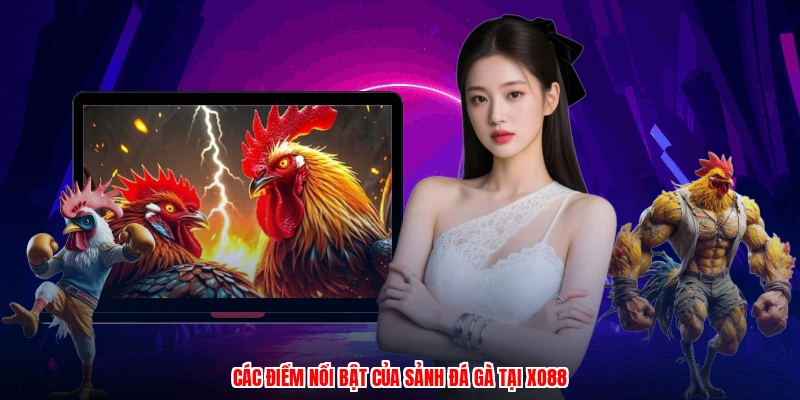 Các điểm nổi bật của sảnh đá gà tại XO88