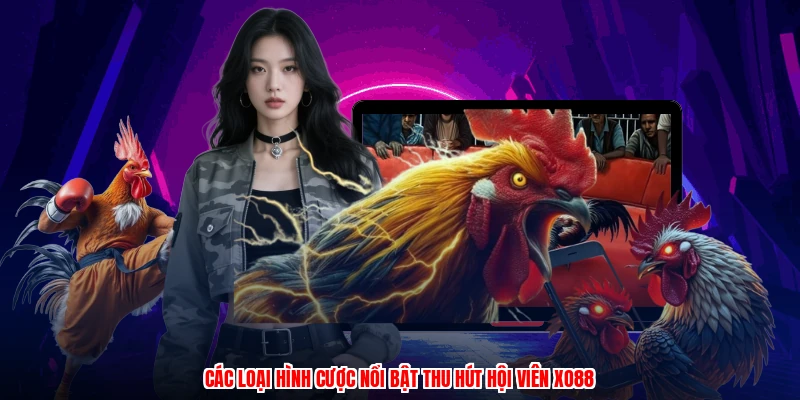 Các loại hình cược nổi bật thu hút hội viên XO88