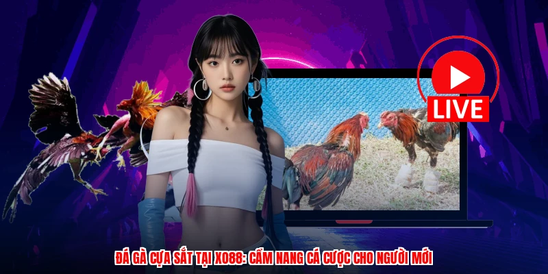 Đá Gà Cựa Sắt Tại XO88: Cẩm Nang Cá Cược Cho Người Mới
