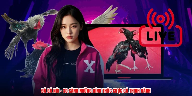 Đá Gà Nòi - So Sánh Những Hình Thức Cược Gà Thịnh Hành