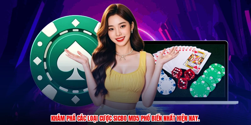 Khám phá các loại cược sicbo MD5 phổ biến nhất hiện nay.