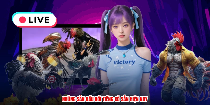 Những sân đấu nổi tiếng có sẵn hiện nay