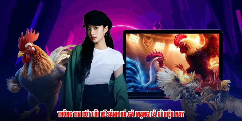 Thông tin cốt lõi về sảnh đá gà mạng là gì hiện nay