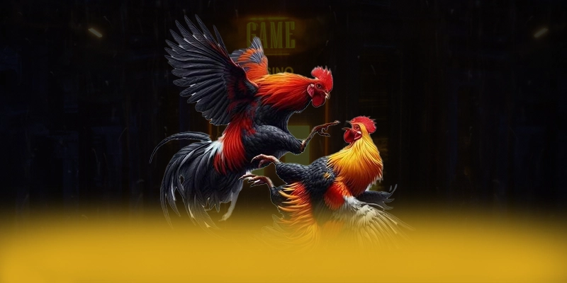Khả năng truy cập trên điện thoại di động cùng 8XBET